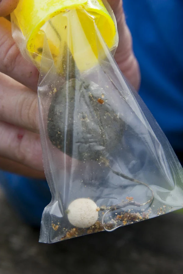 Avid Carp Transfer Bag Loading Kit Small 4 Avid Carp Transfer Bag Loading Kit Small - Image 4