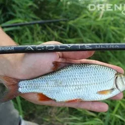 Drennan Acolyte Ultra 13ft Float 7 Drennan Acolyte Ultra 13ft Float -Fishing Rod Shop 1381854539 10