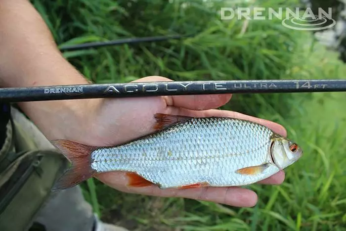 Drennan Acolyte Ultra 13ft Float 4 Drennan Acolyte Ultra 13ft Float - Image 4