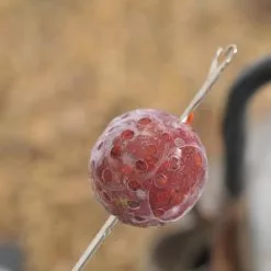 Korda Super Wrap -Fishing Rod Shop 1400080891 20