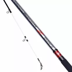 Daiwa Sea Hunter Z Beachcaster