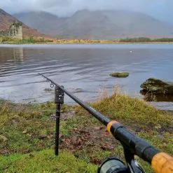 Daiwa Black Widow Deadbait Rods 8 Daiwa Black Widow Deadbait Rods -Fishing Rod Shop 5ulcahz1638037749376916553