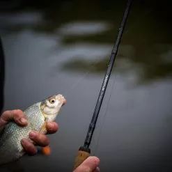 Guru Aventus Steve Ringer Light Feeder Rods -Fishing Rod Shop 5ygm33sp638106771681742688