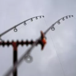 Guru N-Gauge Specimen Dual Tip Rods 10 Guru N-Gauge Specimen Dual Tip Rods -Fishing Rod Shop b2vhwjmg638089600291664940