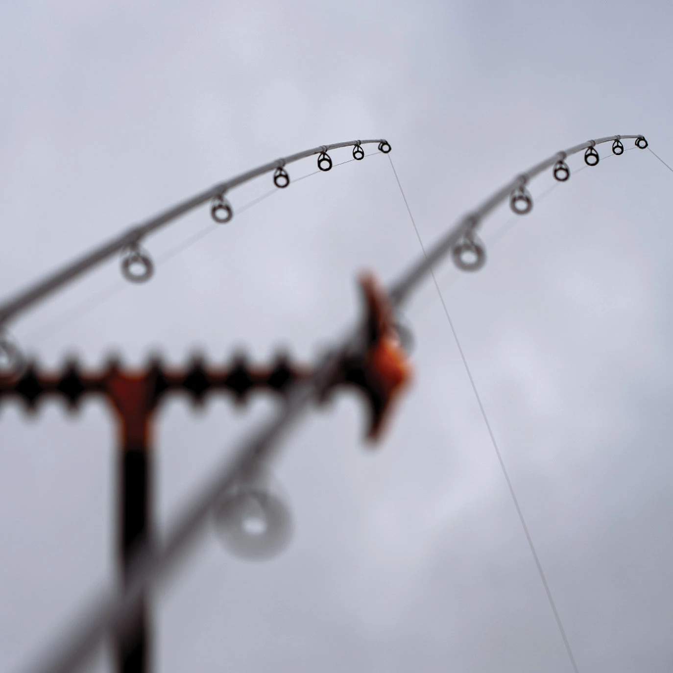 Guru N-Gauge Specimen Dual Tip Rods 4 Guru N-Gauge Specimen Dual Tip Rods - Image 4