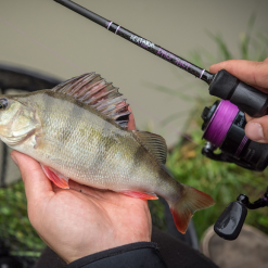 Wychwood Agitator Dropshot Rod -Fishing Rod Shop fxu314aq638152661511542144