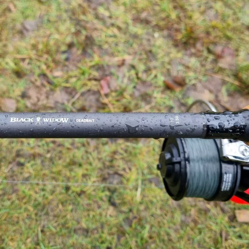 Daiwa Black Widow Deadbait Rods 2 Daiwa Black Widow Deadbait Rods - Image 2
