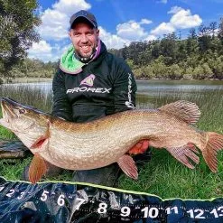 Daiwa Prorex Hoodie 5 Daiwa Prorex Hoodie -Fishing Rod Shop gu34yrqi637734256259033245