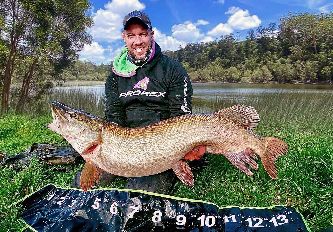 Daiwa Prorex Hoodie 3 Daiwa Prorex Hoodie - Image 3