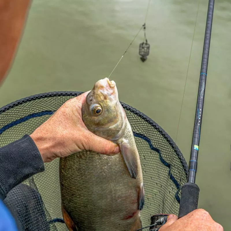 Preston Innovations Supera X Feeder Rods 5 Preston Innovations Supera X Feeder Rods - Image 5