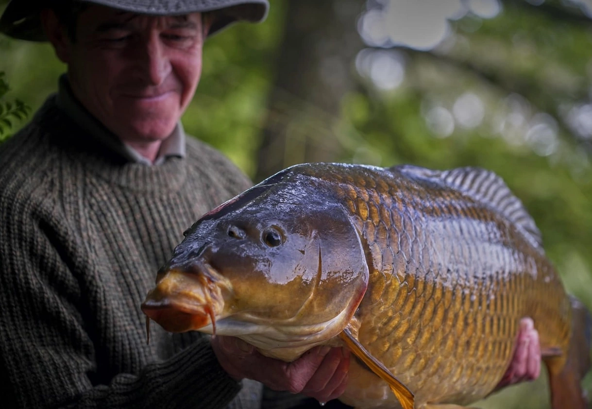 ESP Camo Jumper 4 ESP Camo Jumper - Image 4