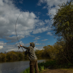 Prologic C-Series Compact Rods -Fishing Rod Shop ivzlju0u637595981788094403