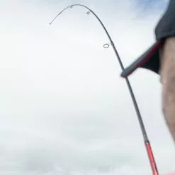 Daiwa Ninja Tele Spinning Rods 22 Daiwa Ninja Tele Spinning Rods -Fishing Rod Shop joonkddt637961664685991908