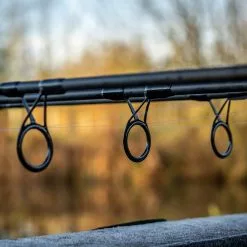 Daiwa Black Widow Ext Carp Rods -Fishing Rod Shop jw0z01v5638067831980228055