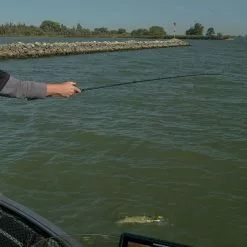 Fox Rage Terminator Versatile Casting Rods -Fishing Rod Shop kbfl2b5u637431042259289021