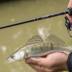 Wychwood Agitator Dropshot Rod -Fishing Rod Shop og30r1gx638152661511542144