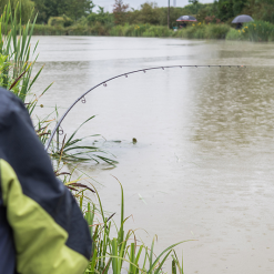 Matrix Ethos XRC Bomb Rods -Fishing Rod Shop qvb331dc637619449662453217