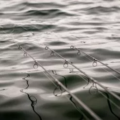 Daiwa Infinity X45 Carp Rods -Fishing Rod Shop rbpngg5b638149893184428074