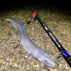 TronixPro Xenon Power Rod 13ft 8in -Fishing Rod Shop u32b5cyu636846343755425733