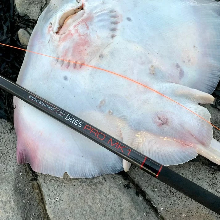 Anyfish Anywhere Bass Pro Rod 1 Anyfish Anywhere Bass Pro Rod