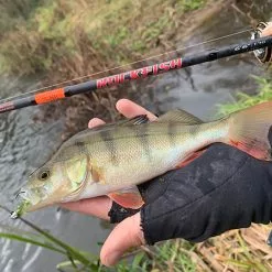 HTO Rockfish Rods -Fishing Rod Shop vommyx5q636827163658584081