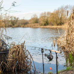 Wychwood Agitator Bait Rod 12ft 3.25lb 7 Wychwood Agitator Bait Rod 12ft 3.25lb -Fishing Rod Shop wezyats5637133844115855266