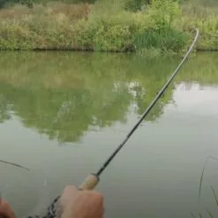 Guru Aventus Steve Ringer Light Feeder Rods -Fishing Rod Shop wvyohdml637980563261790009