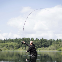 Avid Carp Traction Pro Carp Rods -Fishing Rod Shop xrppeoxn637074426031927742