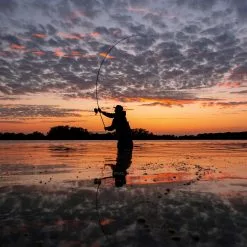 Nash X-Series Carp Rods -Fishing Rod Shop y510jabu638080074910481707